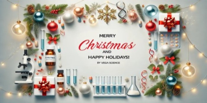 Wuxi Vega Science Co., Ltd. Celebrates Christmas with Gratitude and a Vision for the Future