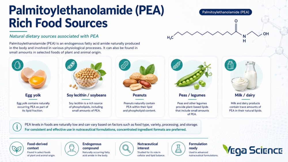 Palmitoylethanolamide Palmitoylethanolamide Rich foods ingredient information and formulation support