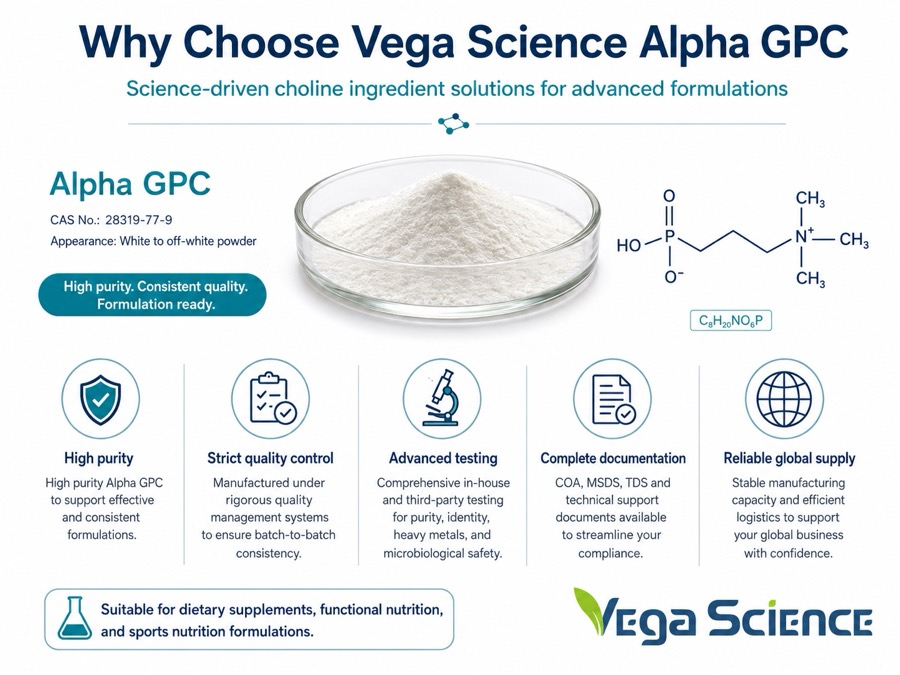 Alpha GPC Support for Cellular Membranes ingredient information and formulation support