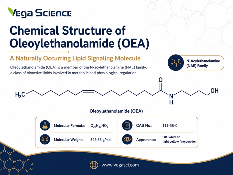 Oleoylethanolamide (OEA) chemical structure and molecular or phytochemical profile infographic