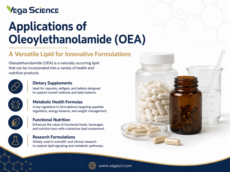 Oleoylethanolamide (OEA) applications and formulation context infographic