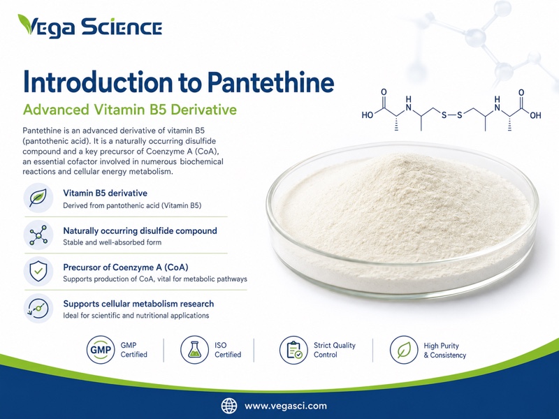 Pantethine product introduction and basic ingredient identity infographic