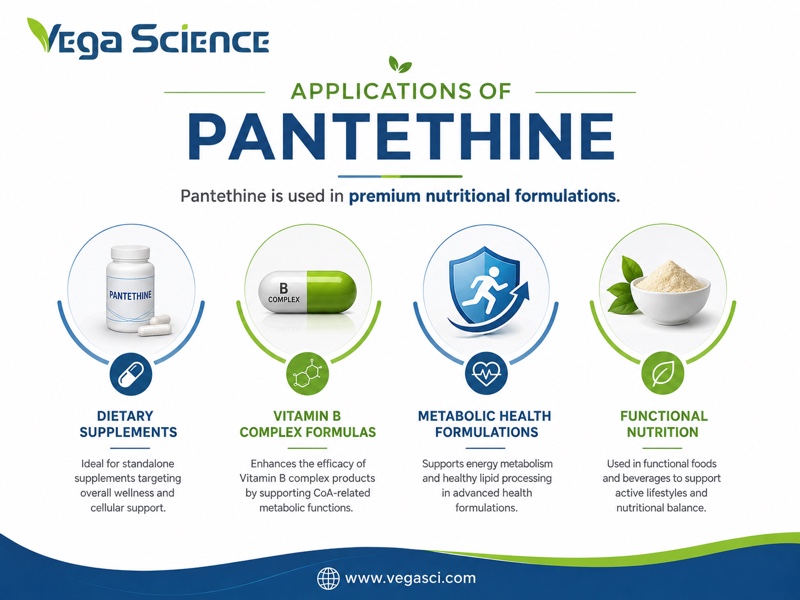 Pantethine applications and formulation context infographic