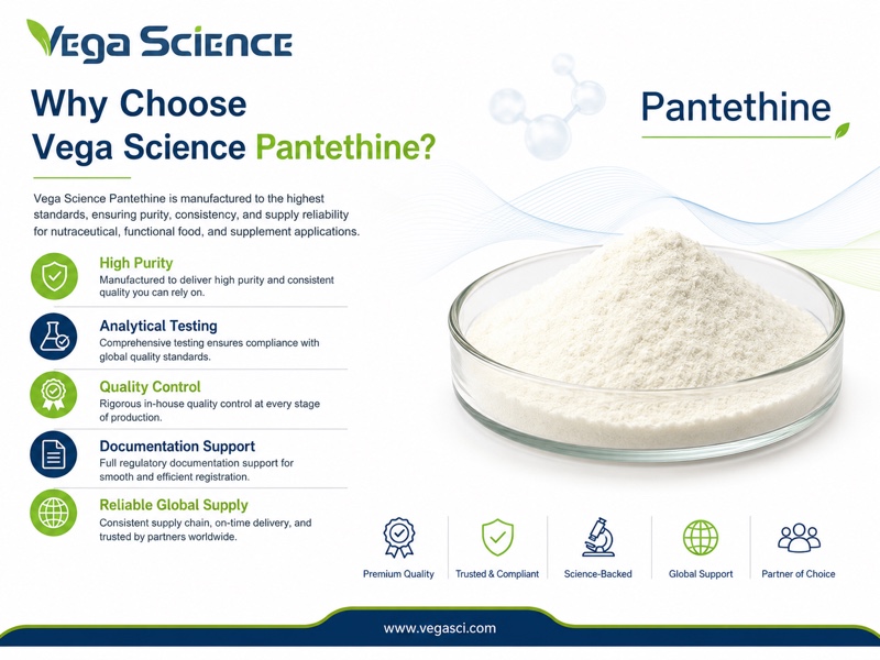 Pantethine supplier quality, testing, documentation and supply support infographic
