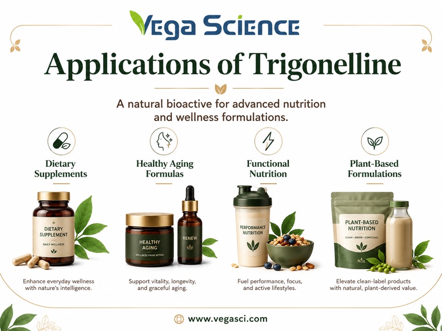 Trigonelline application infographic for dietary supplements functional nutrition and plant-based formulations