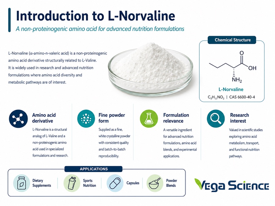 L-Norvaline chemical structure and molecular identity illustration