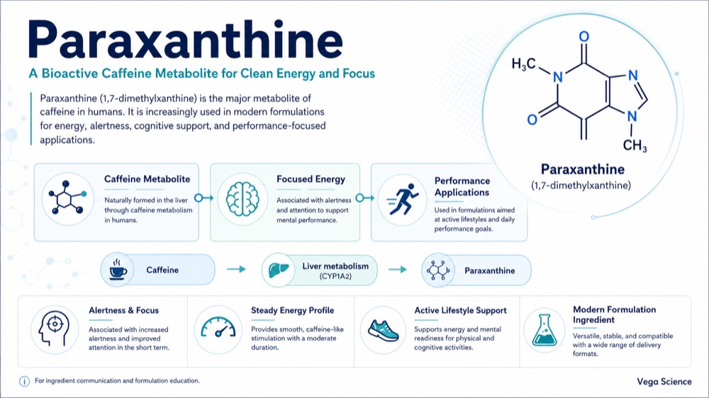 Paraxanthine caffeine metabolite overview for clean energy and focus formulations