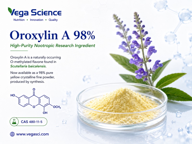 Oroxylin A ingredient overview infographic
