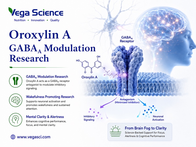 Oroxylin A dopamine transporter research context infographic