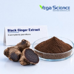 Black Ginger Extract