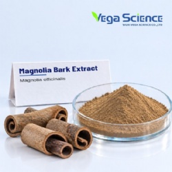 Magnolia Bark Extract
