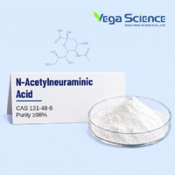 N-Acetylneuraminic Acid