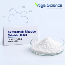 Nicotinamide Riboside Chloride (NRCl)