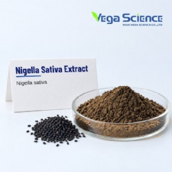 Nigella Sativa Extract
