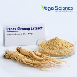 Panax Ginseng Extract